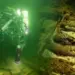 На затонувшем корабле обнаружены 175-летние запечатанные бутылки шампанского и минеральная вода