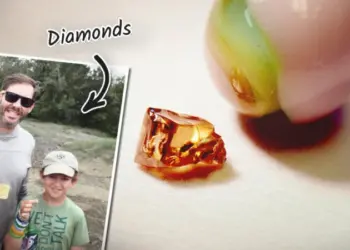 Мальчик нашёл алмаз весом 2 карата на открытом для всех руднике