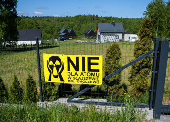 В Польше возмутились строительством американской АЭС в районе Хочево