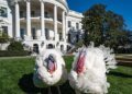 Венгерский министр иностранных дел Петер Сийярто пожелал послу США приятного подсчета