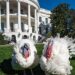 Венгерский министр иностранных дел Петер Сийярто пожелал послу США приятного подсчета