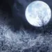 Два новолуния в декабре: «Холодная луна» и «Чёрная луна» украсят ночное небо