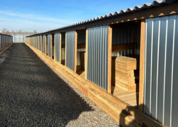 Строительство приюта для собак завершается в Борзе в Забайкалье