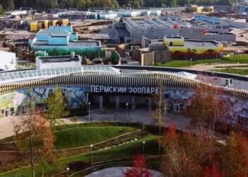 Новый зоопарк откроют в Перми летом 2025 года