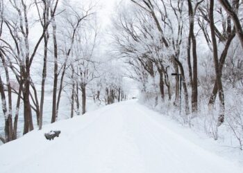 В Омской области обнаружили микропластик в снеге