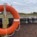 В Тамилнаде выловили манту, размером больше корабля