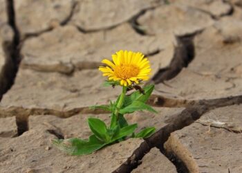 Нобелевские лауреаты призвали к борьбе с глобальным продовольственным кризисом