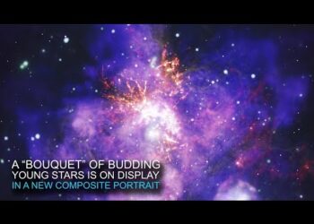 NASA поздравило всех влюблённых букетом из цветущих звёзд (видео)