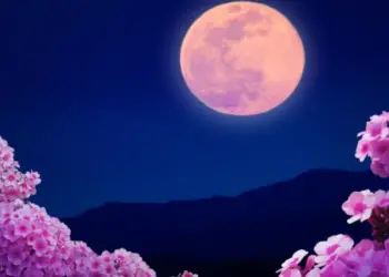 Микролуние в апреле: полная розовая Луна