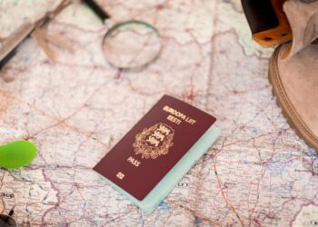 Для чего нужна проверка паспорта на действительность