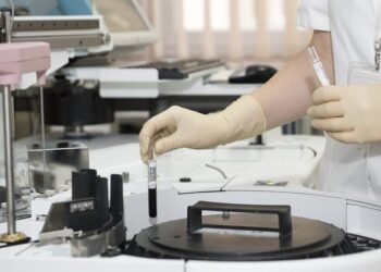 Пермские учёные нашли способ утилизировать до 90% мясных отходов