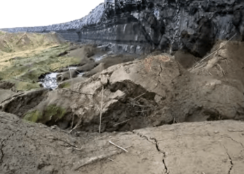 Яна — самый древний мамонтёнок, найденный в Якутии