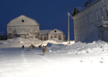 В российской Арктике зима стала короче