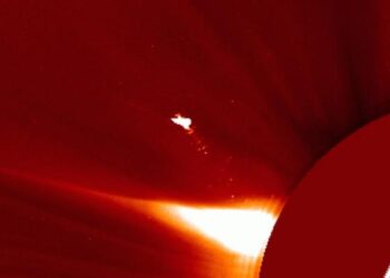 Физик прокомментировал фото с гигантской птицей у Солнца