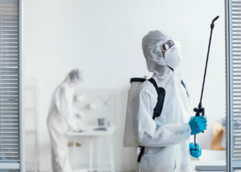 Профессиональная дезинфекция и уничтожение вредителей