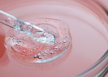 Жидкий коллаген и ферментированный растительный комплекс: путь к молодости и здоровью