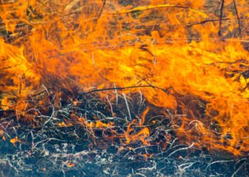 Пожары в Турции: затронули ли возгорания зоны отдыха? Рекомендации туристам