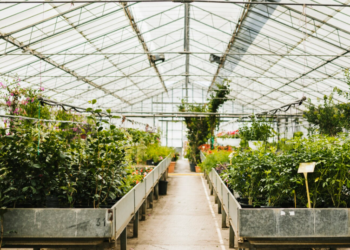 Прямостенные теплицы: особенности, преимущества и выбор