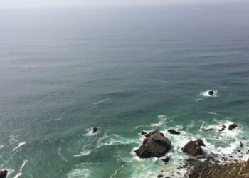 29 минут без воздуха: как человек превзошел дельфина