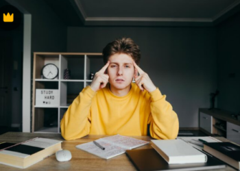 Нормис: Культурный феномен и его влияние на общество