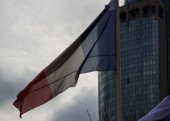 Сардарян: Трамп вызывает раздражение у большинства французов