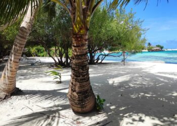 Блогер Колясников охарактеризовал смену власти на Мадагаскаре как цветную революцию